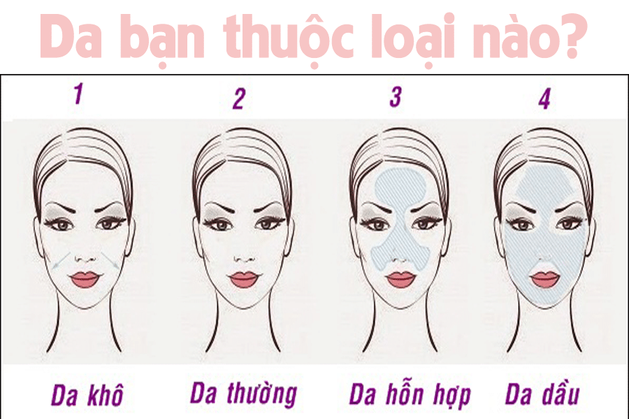 CÁCH PHÂN BIỆT CÁC LOẠI DA CƠ BẢN